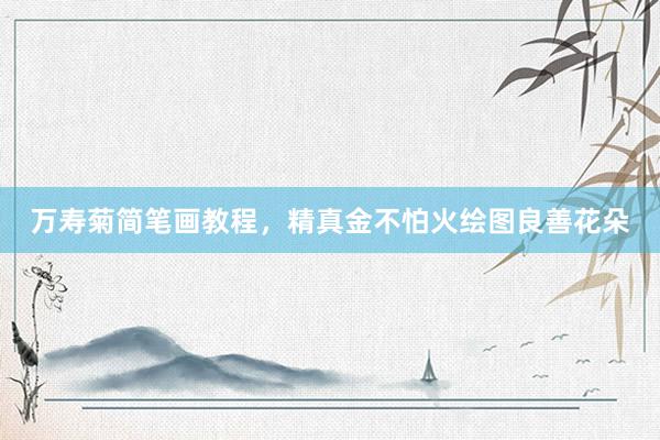 万寿菊简笔画教程，精真金不怕火绘图良善花朵
